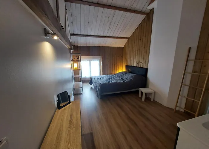 12 Personnes Avec Etang Et Piscine *